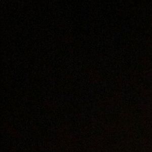 Meet your Posher, Evangelina